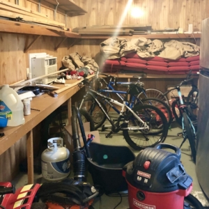 Friendswood home organizing services - shed before