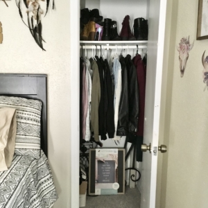 Bellaire home organizing services - small closet