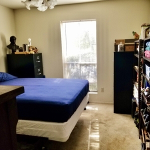 Oak Forest home organizing services - room after