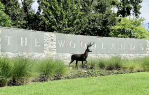 The Woodlands Texas